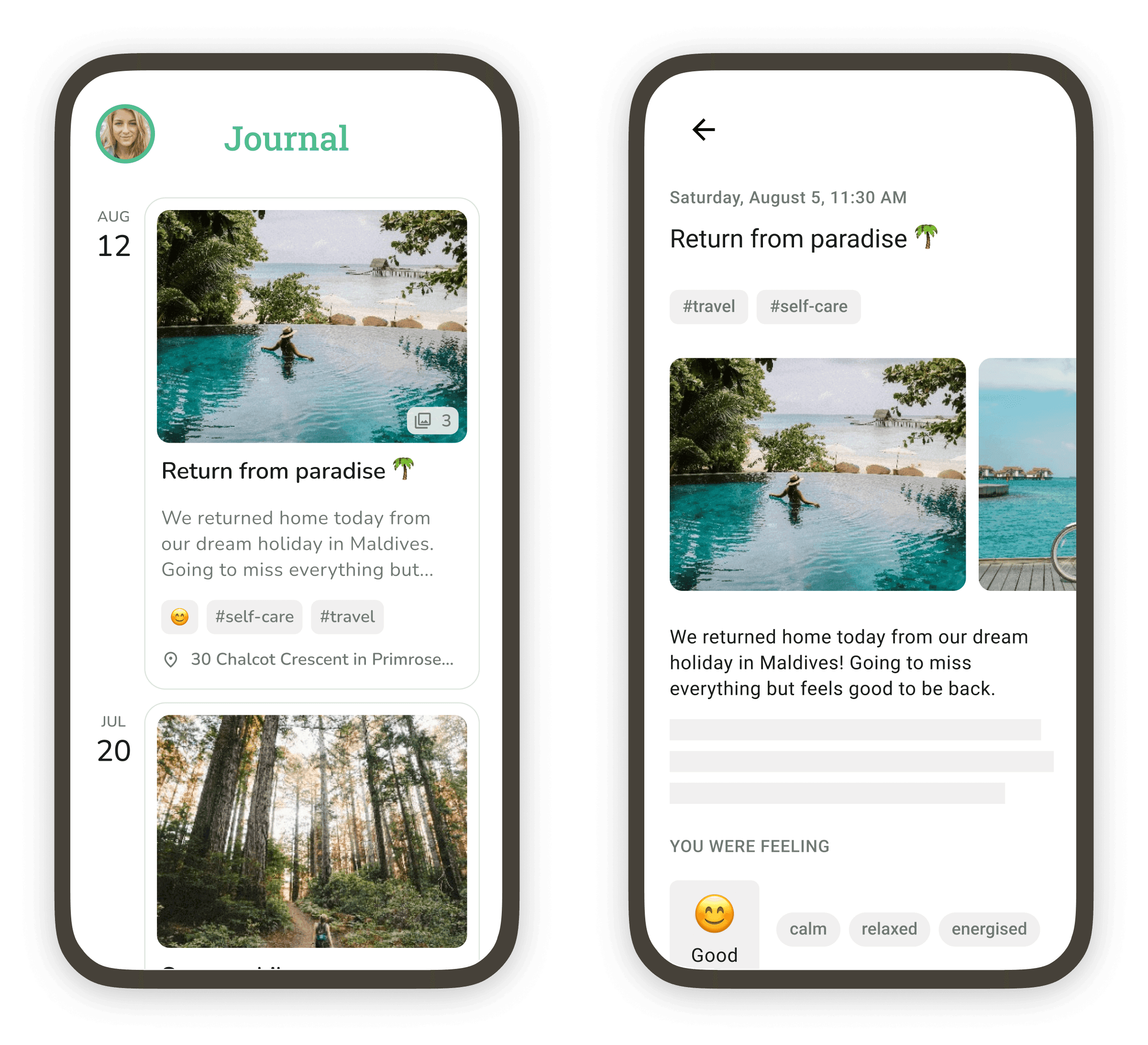 Screenshot of the journal feature in Do Everything