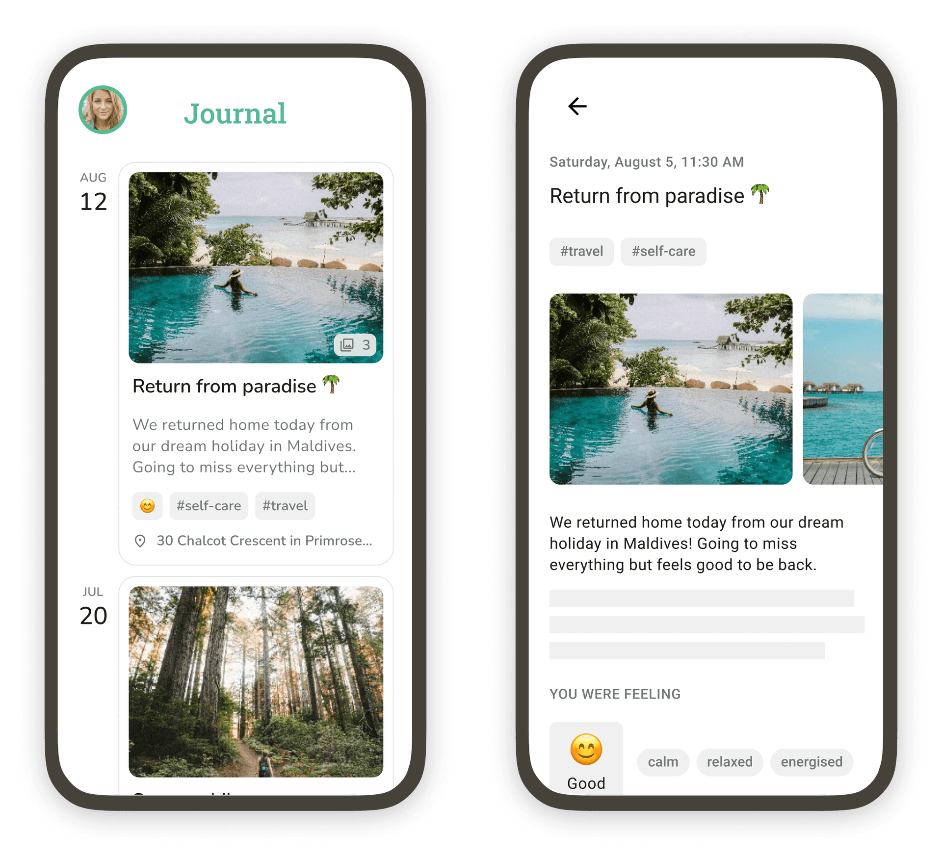 Screenshot of the journal feature in Do Everything